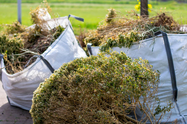 Household Junk Removal in Loyalhanna, PA